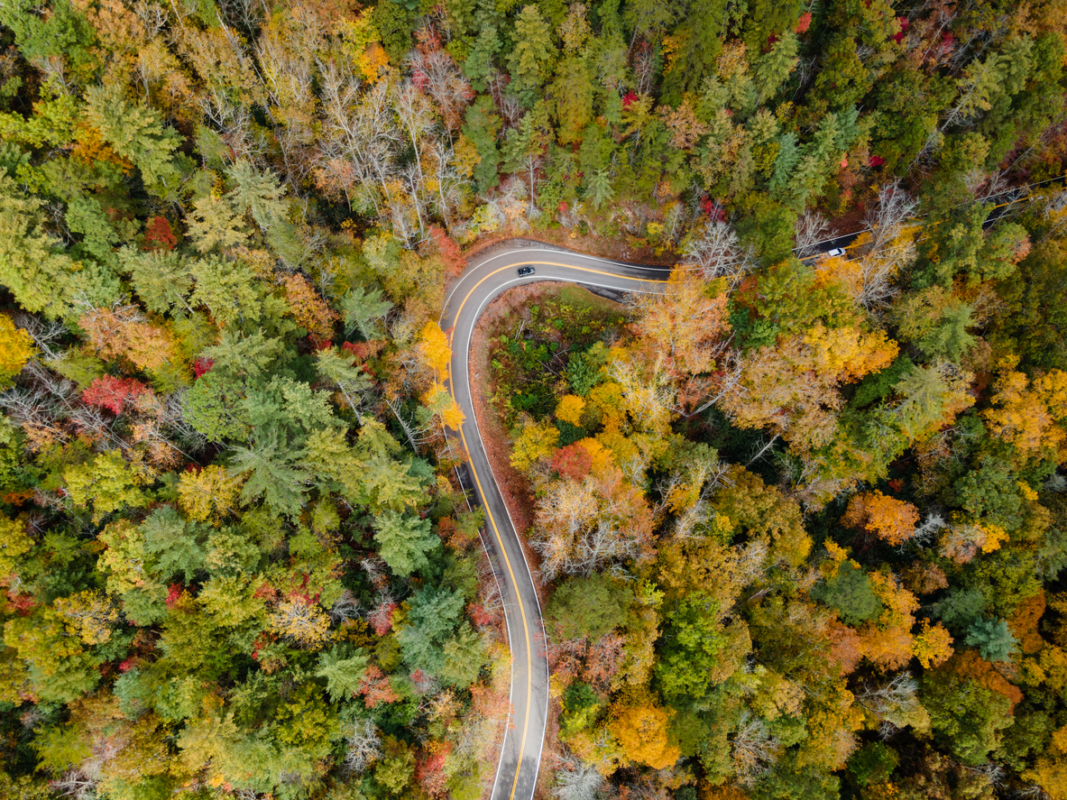 Panoramic Image of Columbia, TN